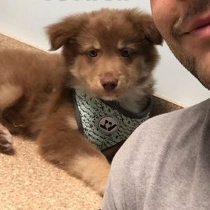 Meet your Posher, Mark